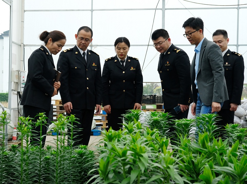圖為：海關(guān)關(guān)員針對企業(yè)引進國外種苗隔離檢疫的難點問題赴現(xiàn)場調(diào)研幫扶1+20210420張建成攝
